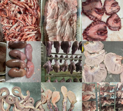 小众送妈妈的花有哪些花