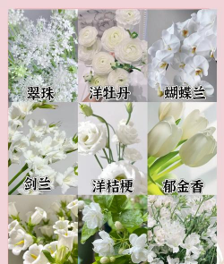小众送妈妈的花有哪些花
