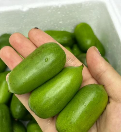 奇异莓是杂交品种吗