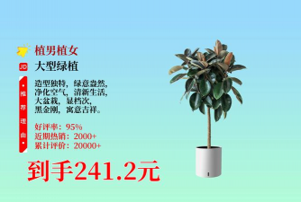 小众送妈妈的花有哪些花