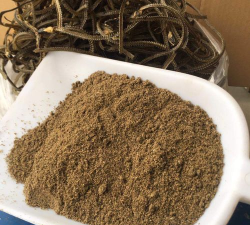 黄鳝饲料有哪些