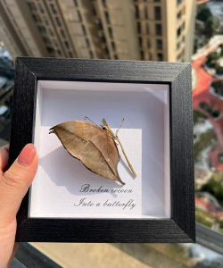 小众送妈妈的花有哪些花