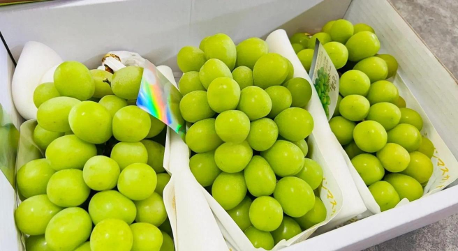 小众送妈妈的花有哪些花