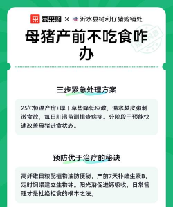 母猪产前不食怎么办