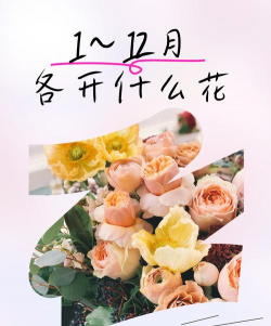 小众送妈妈的花有哪些花