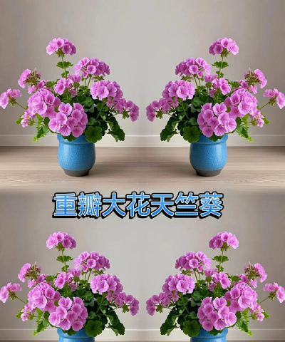 小众送妈妈的花有哪些花