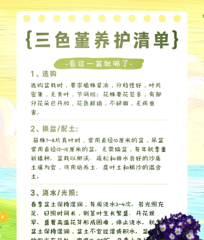 小众送妈妈的花有哪些花