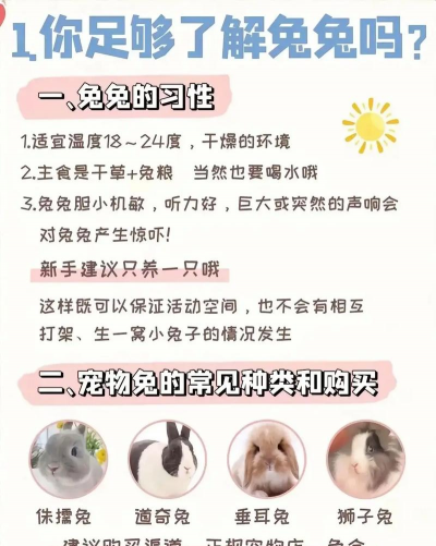 养殖兔子怎么管理 养殖兔子怎么管理