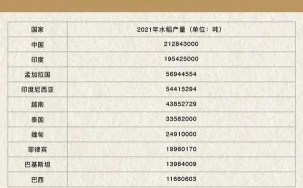 水稻产量每亩多少斤 水稻产量每亩多少斤