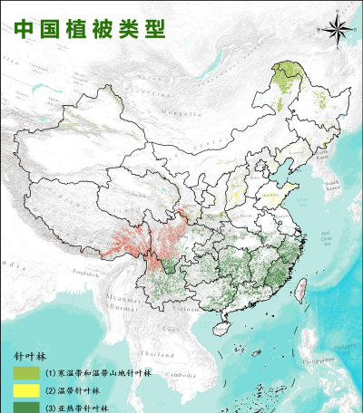 小众送妈妈的花有哪些花