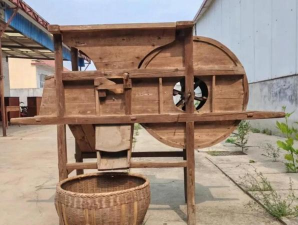 小众送妈妈的花有哪些花