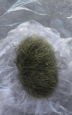 小众送妈妈的花有哪些花