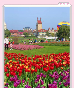 小众送妈妈的花有哪些花