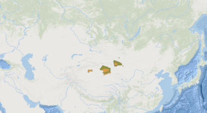 小众送妈妈的花有哪些花