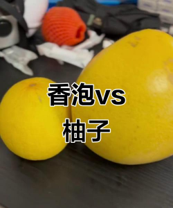 泡果和柚子的区别