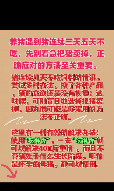 猪吃料少怎么办