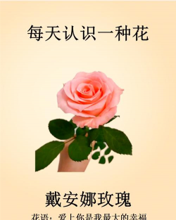 小众送妈妈的花有哪些花