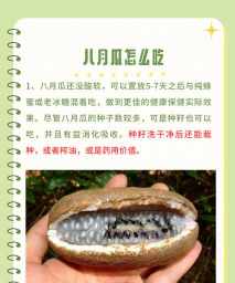 八月瓜怎么看熟不熟