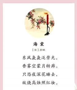小众送妈妈的花有哪些花