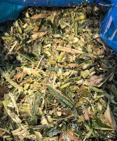 小众送妈妈的花有哪些花