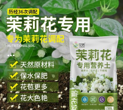 小众送妈妈的花有哪些花