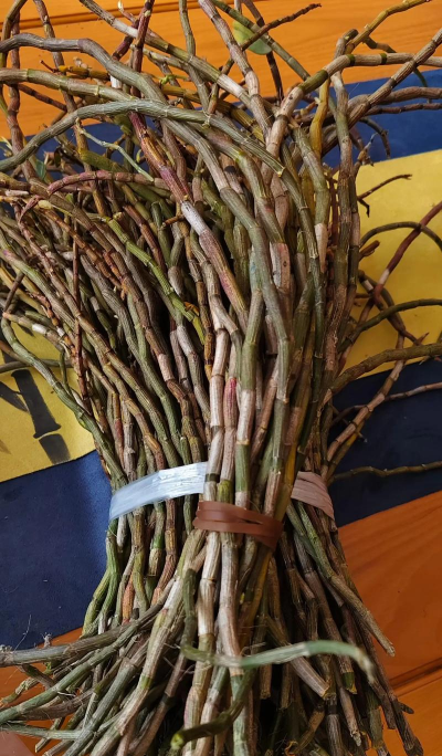 小众送妈妈的花有哪些花