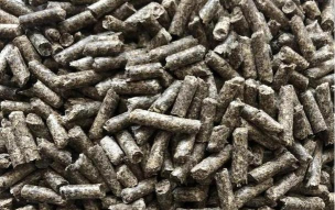 小众送妈妈的花有哪些花