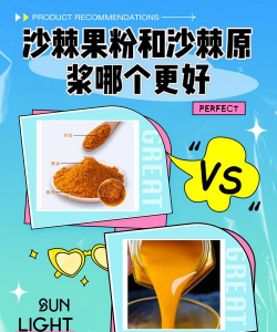 沙棘果粉和沙棘原浆的区别