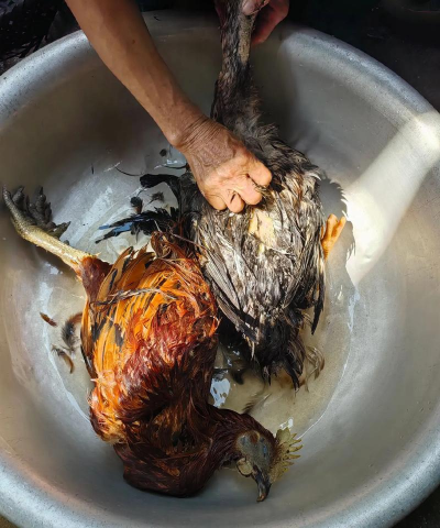 小众送妈妈的花有哪些花