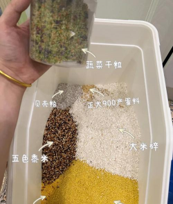 小众送妈妈的花有哪些花