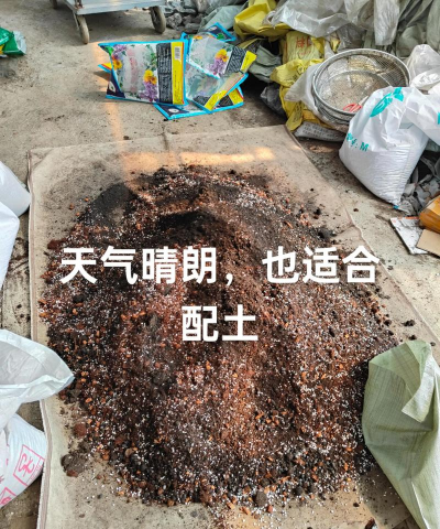 小众送妈妈的花有哪些花