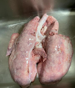 小众送妈妈的花有哪些花