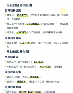 白菜温度最低几度收获