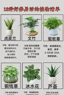 小众送妈妈的花有哪些花