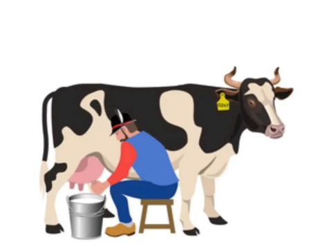 小众送妈妈的花有哪些花