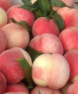 最甜的晚熟桃子品种