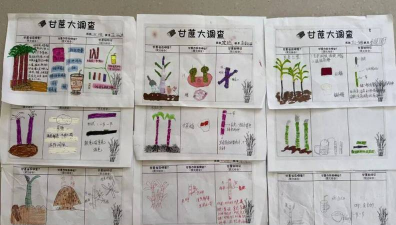 小众送妈妈的花有哪些花