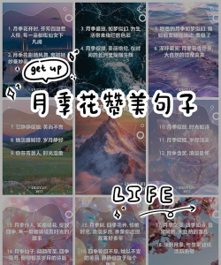 小众送妈妈的花有哪些花