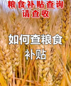 农补是什么意思 农补是什么意思