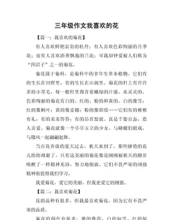 小众送妈妈的花有哪些花