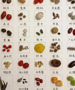 小众送妈妈的花有哪些花