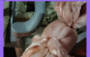 小众送妈妈的花有哪些花