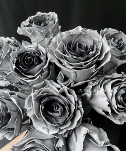 小众送妈妈的花有哪些花