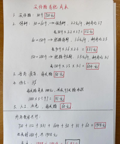 养一头猪能赚多少钱 养一头猪能赚多少钱