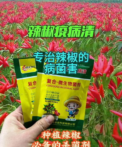 辣椒病害图片与防治打什么药 辣椒病害图片与防治打什么药