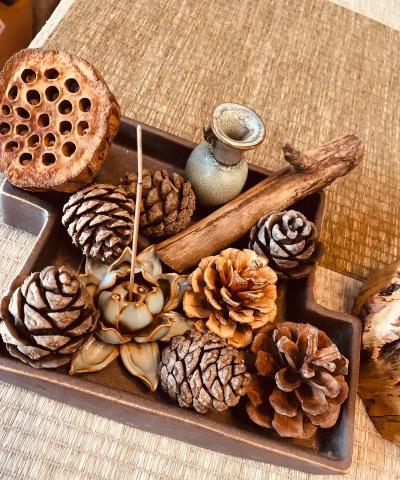 小众送妈妈的花有哪些花