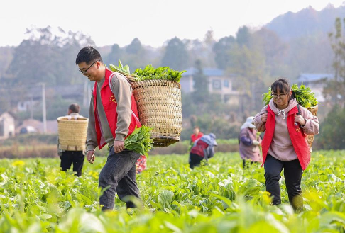 小众送妈妈的花有哪些花