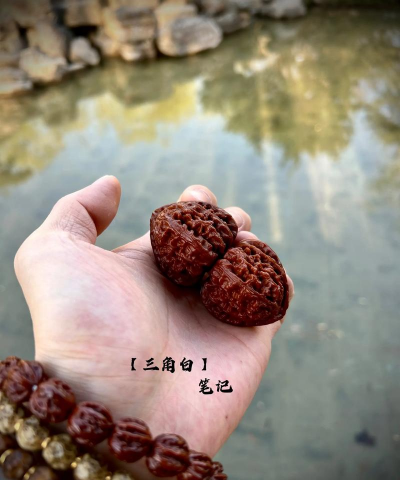 小众送妈妈的花有哪些花