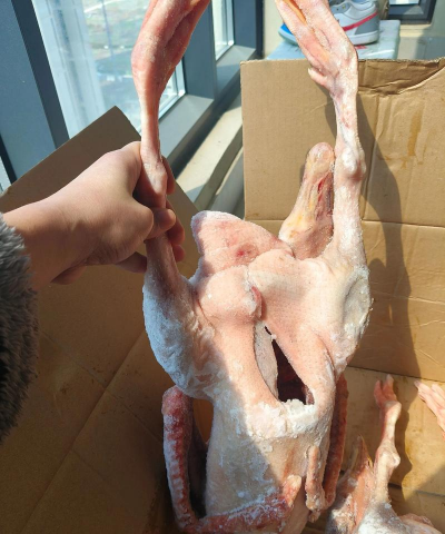 东北大鹅多少钱一斤