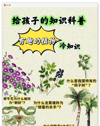 小众送妈妈的花有哪些花
